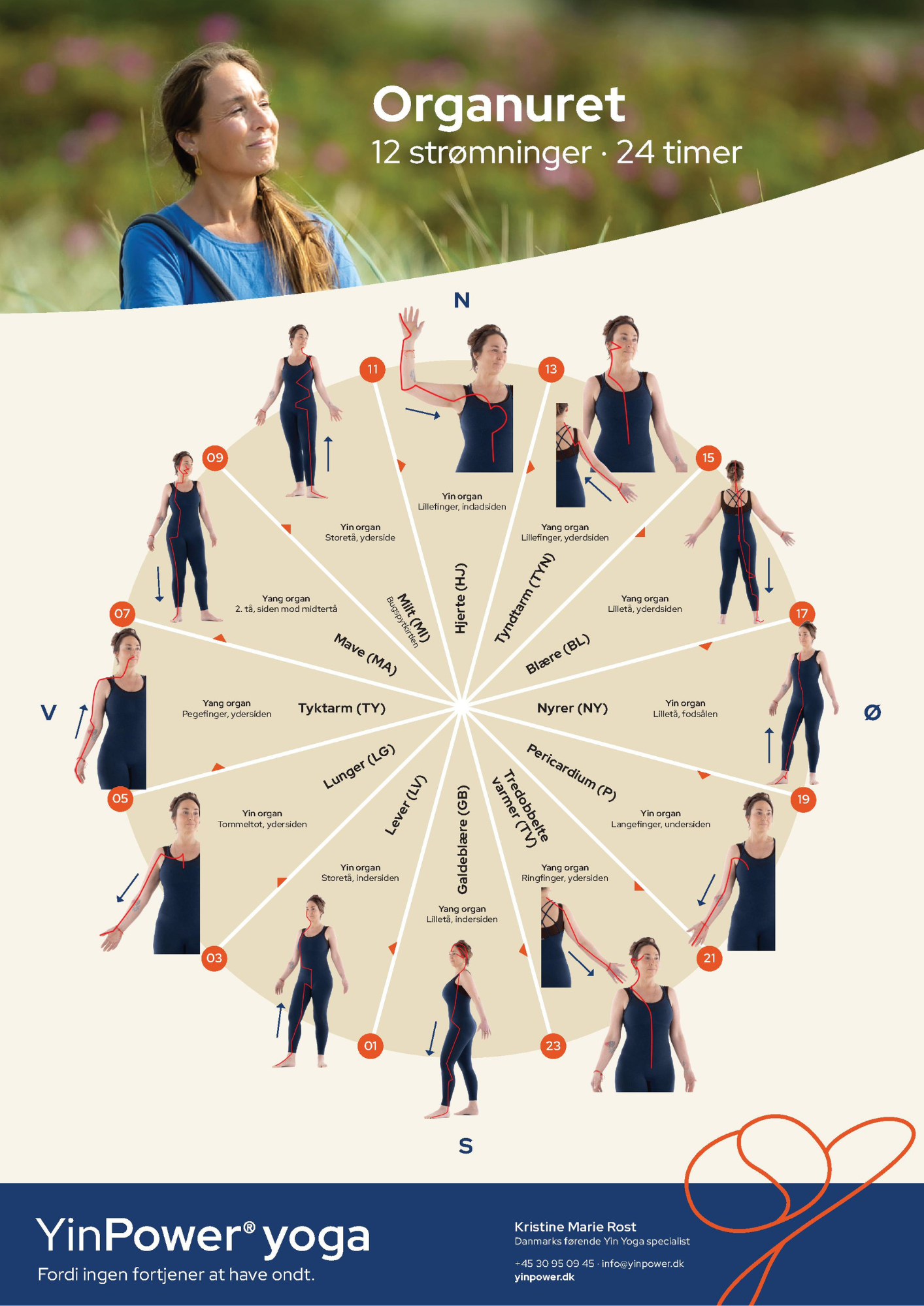 Plakat - Organuret - Image 2